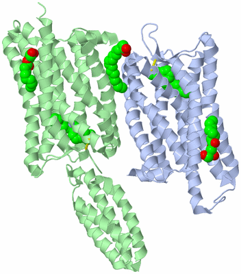 Image Biological Unit 3