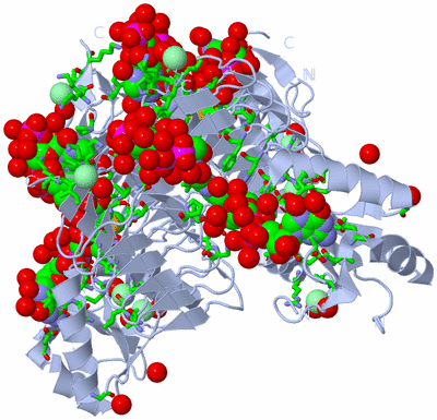 Image Biol. Unit 1 - sites