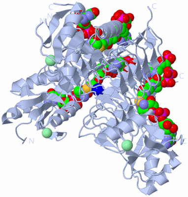 Image Biological Unit 1