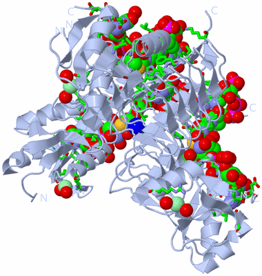 Image Biol. Unit 1 - sites