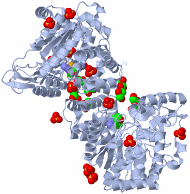 Image Biological Unit 1