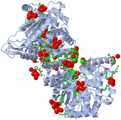 Image Biol. Unit 1 - sites