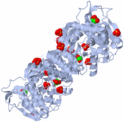 Image Biological Unit 1