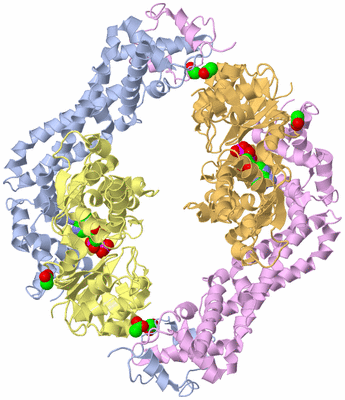 Image Biological Unit 1