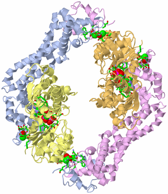 Image Biol. Unit 1 - sites