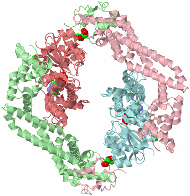 Image Biological Unit 2