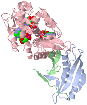 Image Asym./Biol. Unit