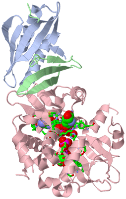 Image Asym./Biol. Unit - sites