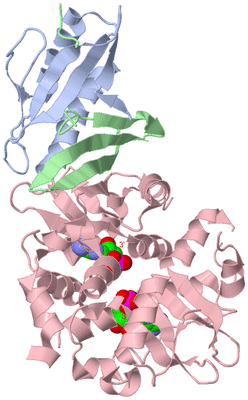 Image Asym./Biol. Unit