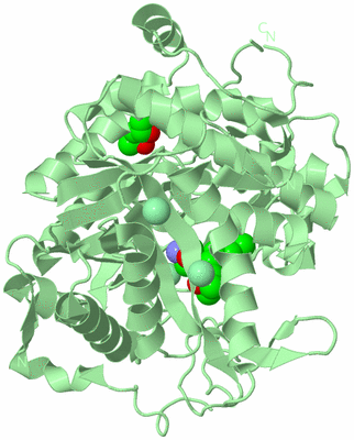 Image Biological Unit 2