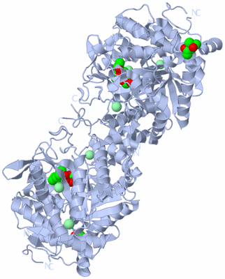 Image Biological Unit 3