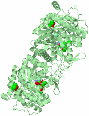 Image Biological Unit 4