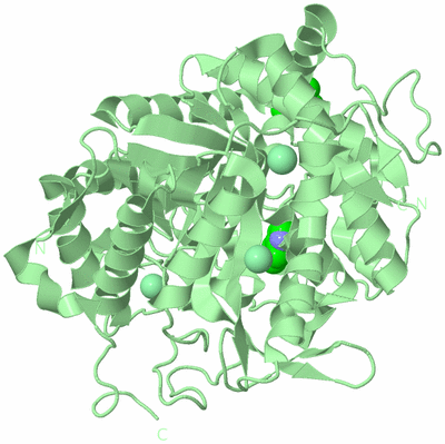 Image Biological Unit 2