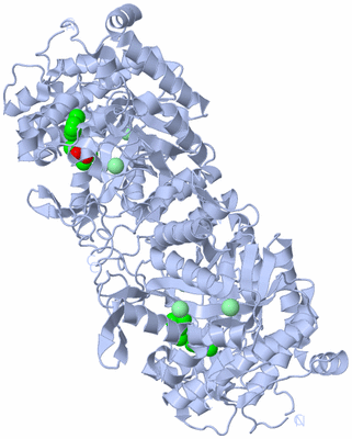 Image Biological Unit 3