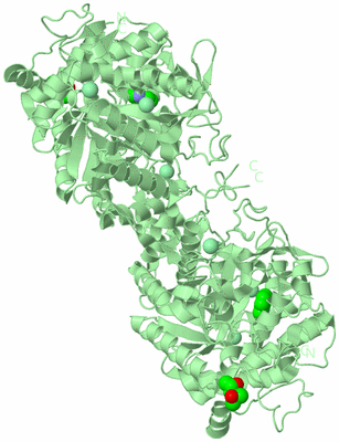 Image Biological Unit 4