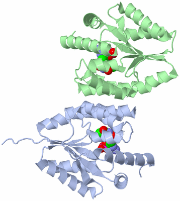 Image Asym./Biol. Unit