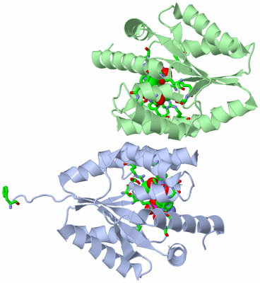 Image Asym./Biol. Unit - sites