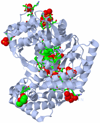 Image Biol. Unit 1 - sites