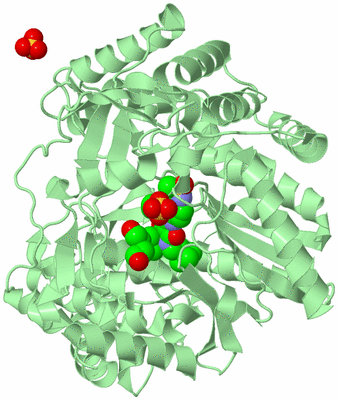 Image Biological Unit 2