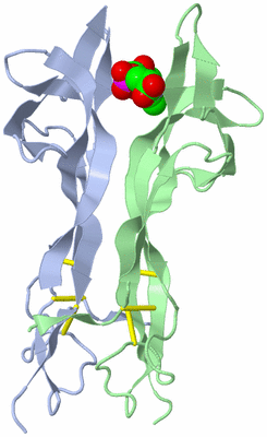 Image Biological Unit 1