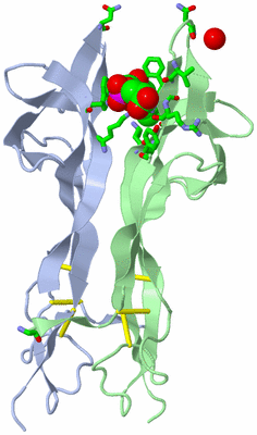 Image Biol. Unit 1 - sites