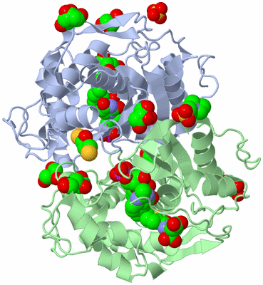 Image Biological Unit 1