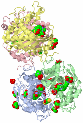 Image Biological Unit 3