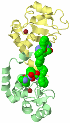 Image Biological Unit 2