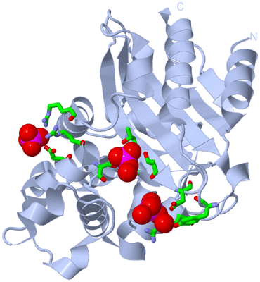 Image Biol. Unit 1 - sites