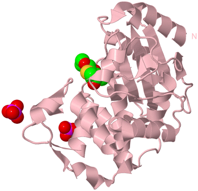 Image Biological Unit 3