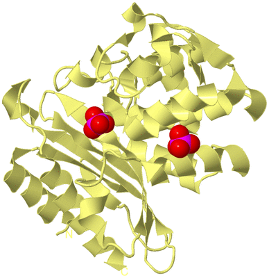 Image Biological Unit 4