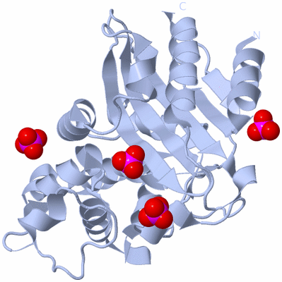 Image Biological Unit 1