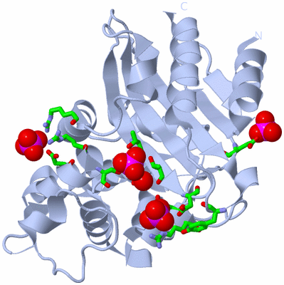 Image Biol. Unit 1 - sites