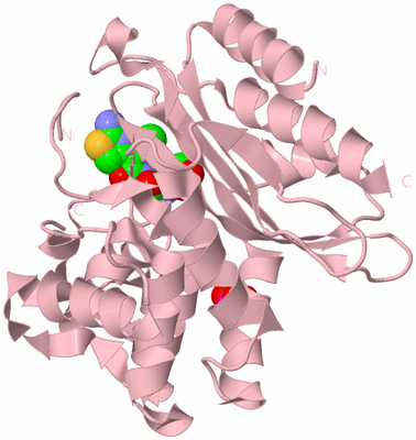 Image Biological Unit 3