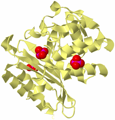 Image Biological Unit 4