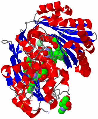 Image Asym./Biol. Unit