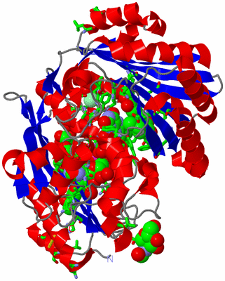 Image Asym./Biol. Unit - sites