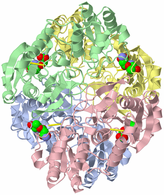 Image Asym./Biol. Unit