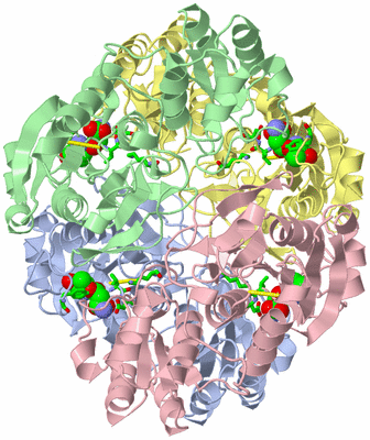 Image Asym./Biol. Unit - sites