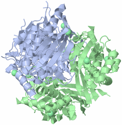 Image Biological Unit 1