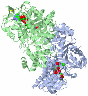 Image Asym./Biol. Unit