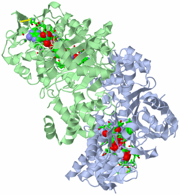 Image Asym./Biol. Unit - sites