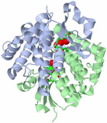 Image Asym./Biol. Unit - sites