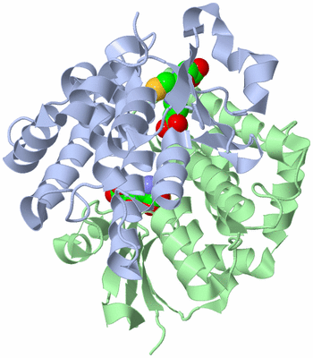 Image Asym./Biol. Unit