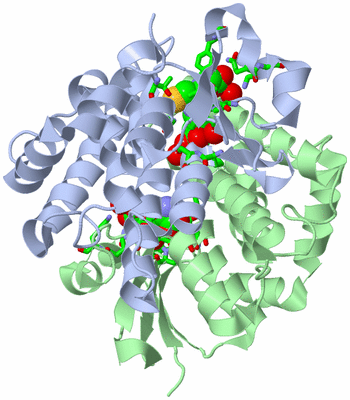 Image Asym./Biol. Unit - sites