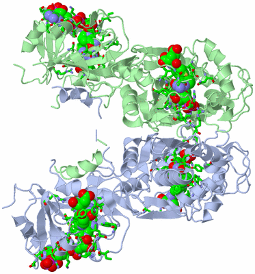 Image Asym./Biol. Unit - sites