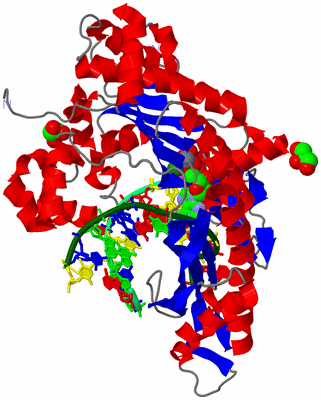 Image Asym./Biol. Unit