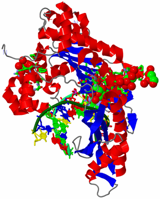 Image Asym./Biol. Unit - sites