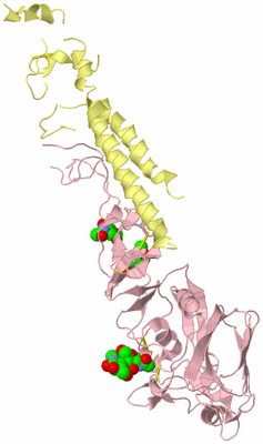 Image Biological Unit 2