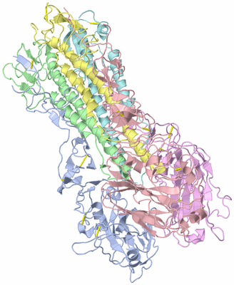 Image Asym./Biol. Unit